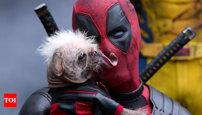 Meet Dogpool: The new Canine hero in Deadpool & Wolverine | English Movie News - Times of India