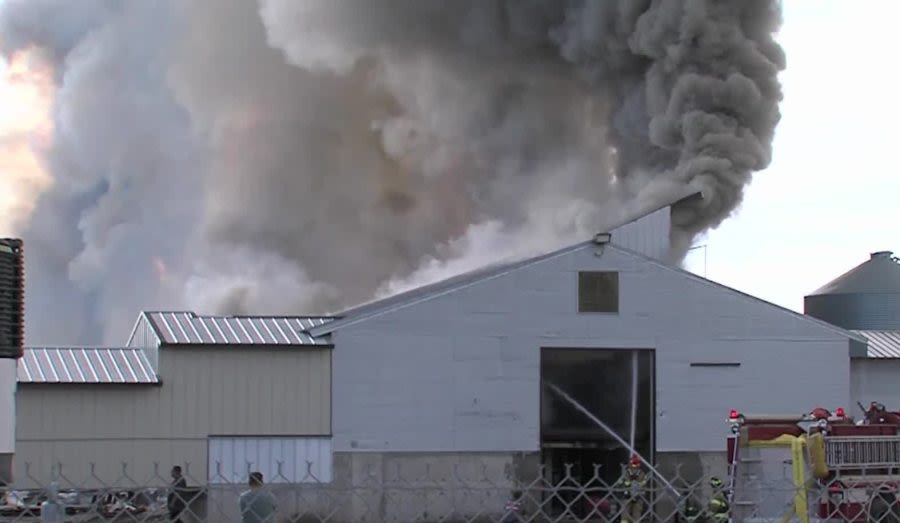 Fire kills 120k chickens at northern Utah egg farm