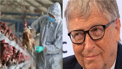 Bill Gates financió experimentos con la gripe aviar que los vuelven transmisibles a los humanos