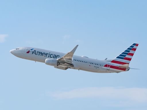 An American Airlines passenger is suing, saying she was burned by a coffee pot that fell into her lap from a trolley during turbulence