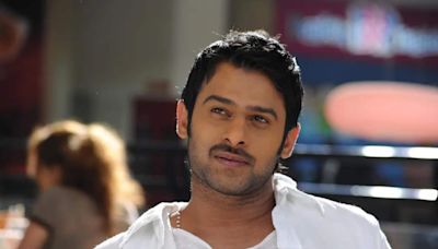 Rebel star Prabhas' 'Mr. Perfect' received a thunderous response from the Japanese fans and the audiences upon the re-release