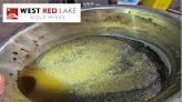 West Red Lake Gold: The Gold Traps We Discovered in The Madsen Mill Are Fixable