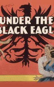 Under the Black Eagle