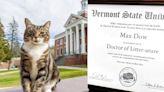 Un gato obtiene doctorado en Literatura en Estados Unidos