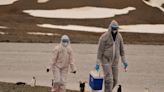 Austrália registra 1º caso de infecção humana por gripe aviária
