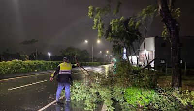 颱風外圍環流發威 路樹倒塌影響行車安全 屏東潮州警風雨中即時排除 | 蕃新聞