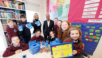 Wicklow school’s battery recycling triumph celebrated