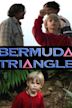 Bermuda Triangle