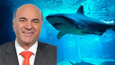 "Bashing The Rich Is Not What America's About," Kevin O'Leary Says of Increasing Taxes For The Wealthy