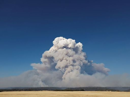 Man started California wildfire by pushing burning car into gully, prosecutor says