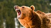 These 2 Tech Stocks Are Tumbling. Is the Bear Market Back?