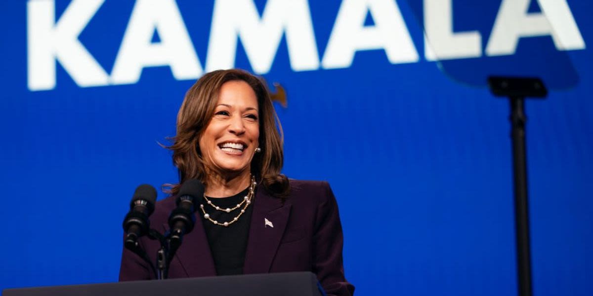 Newsmax pundit accuses Kamala Harris of 'doing blackface' to win presidency