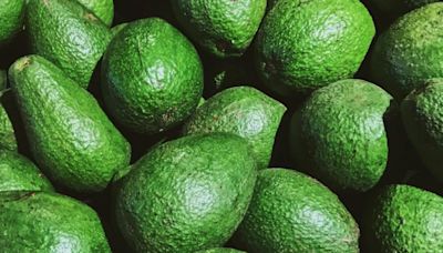 Los aguacates podrían desaparecer debido al cambio climático, informan científicos