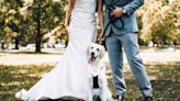 Aux États-Unis, votre témoin de mariage peut être... votre chien