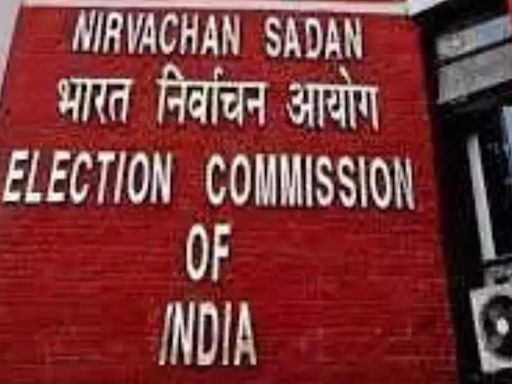 Election Commission allows NCP-SP to accept voluntary contributions from public ahead of Maharashtra assembly elections | India News - Times of India