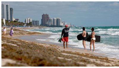 Ciudad del sur de Florida entre las 10 mejores de EEUU para conseguir empleo