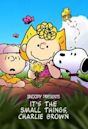 Snoopy Presents: It's the Small Things, Charlie Brown