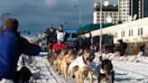 PETA calls for Iditarod shutdown after 2 dogs collapse and die