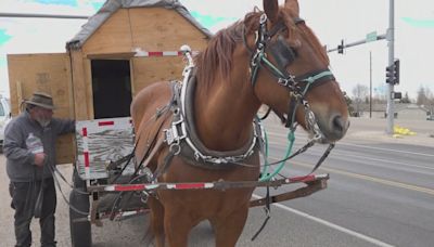 Man traveling across country on his horse-drawn carriage for 5th time