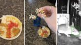TikToker makes mini cheese platter for mouse living in wall: ‘Best day of his little life’