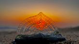 What are the blue blobs washing up on SoCal beaches? Welcome to Velella velella Valhalla