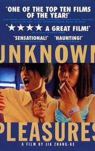 Unknown Pleasures (film)