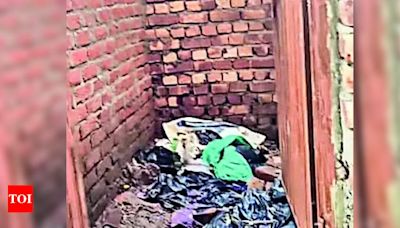 ‘jungles’ In Backyards, Poor Infra Plague Many Mohali Govt Schools | Chandigarh News - Times of India