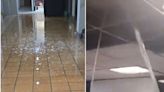 VIDEO: Denuncian filtración de agua en edificio del INE; inunda oficinas y pasillos | El Universal