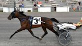 New York Sire Stakes at Vernon Downs in Memorial Day matinee