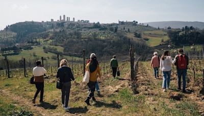 How to taste your way through Tuscany