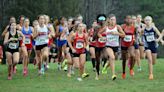 Maryland cross country: Hubs' Stine gets silver in 3A girls, Leopards are runners-up in 1A girls