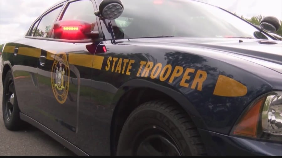 Man punches State Trooper in the face in Nassau County: NYSP