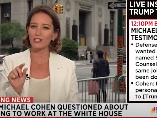 MSNBC Host Says Trump Allies Had 'Mean Girls' Moment With George Conway In Court