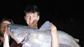 Springfield visitor catches 61- and 47-pound catfish in Tennessee