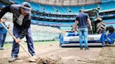 Arena do Grêmio receberá novo gramado e diretor afirma: 'Melhor que o original'