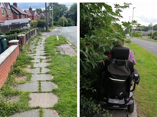 No Mow May 'excuse' leaves towns looking 'like something from a disaster movie'