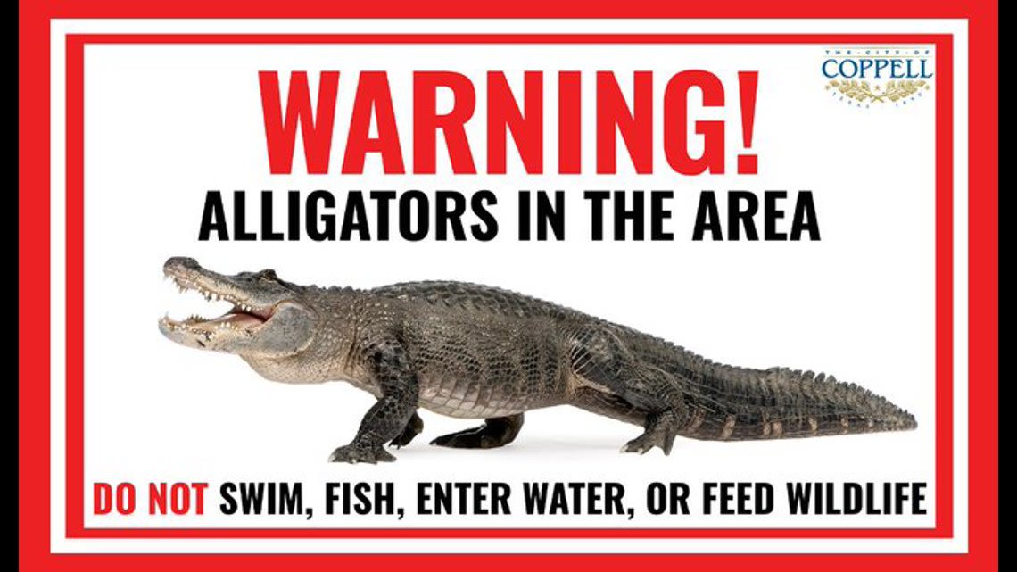 Alligator spotted in North Texas town, residents asked to keep their distance