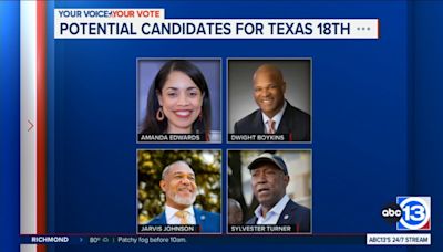 6-person race emerges for Sheila Jackson Lee's congressional seat