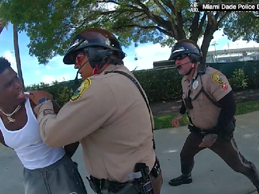 Video shows officers dragged Tyreek Hill out of his car after he put his window back up