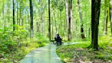 National Parks Trails That Are Truly Accessible