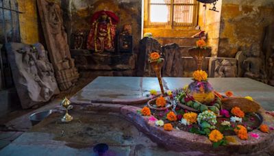 Hariyali Amavasya 2024: Date, Muhurat And Significance