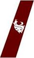 Washington State Cougars