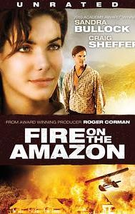 Fire on the Amazon