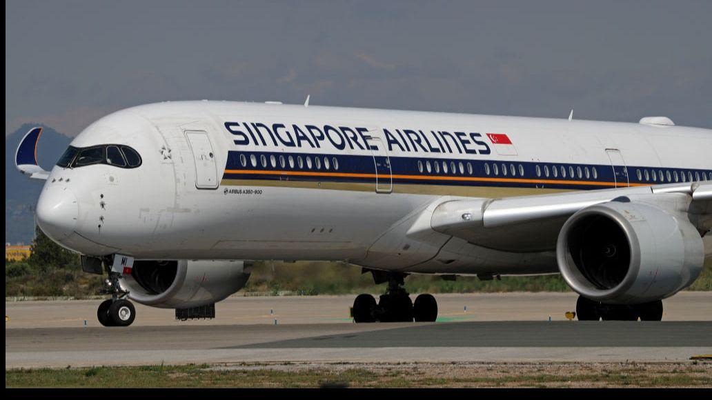 Singapore Airlines apologises for deadly 'traumatic' flight