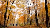 See fall colors in Wisconsin from above on these observation towers