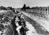 Neuengamme concentration camp