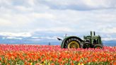 Wooden Shoe Tulip Festival opening delayed by lingering winter weather