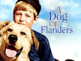A Dog of Flanders (1959 film)