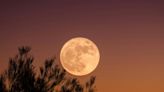 Luna Llena de las Flores iluminará el cielo nocturno de mayo