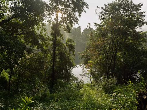 Lonavala waterfall tragedy leads to prohibitory orders at several picnic places in Pune